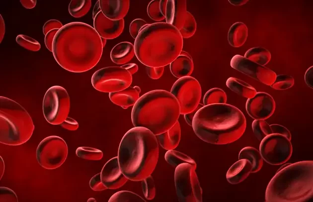 Soro Autólogo é feito do paciente e seguro.