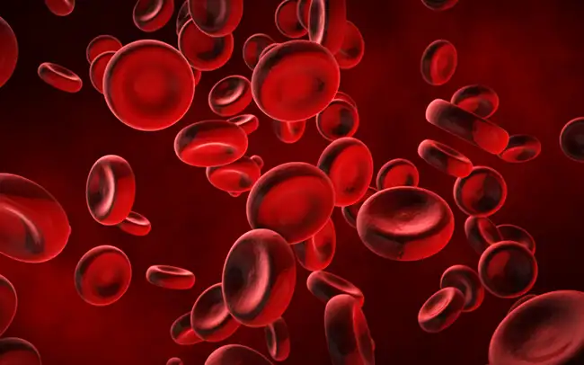 Soro Autólogo é feito do paciente e seguro.