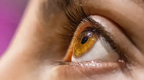 Colírio Lubrificante